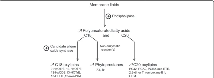 Figure 6 Changes in contents of free polyunsaturated fatty acids and oxylipins under copper stress