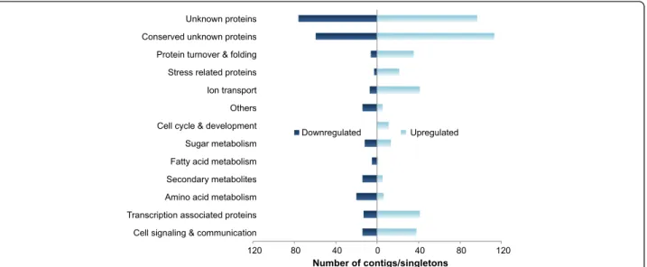 Figure 2 Functional distribution of contigs/singletons up-regulated and down-regulated in Cu-stressed E