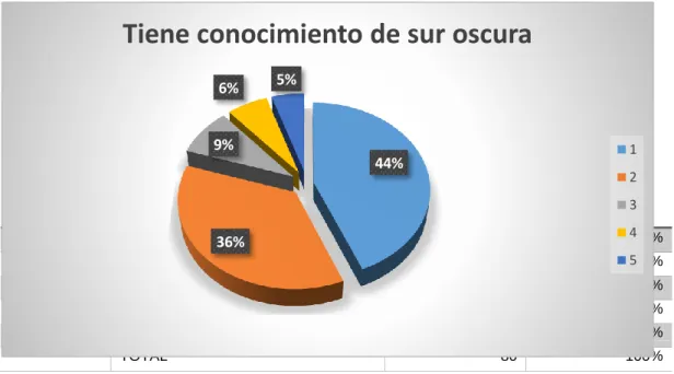 Tabla 5 ¿Tiene conocimiento de Sur Oscura? 