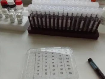 Figura 16. Tapa superior de plástico de la placa de microtitulación rotulada 