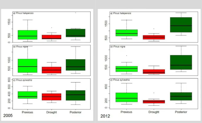 Figura 5: Diferencias en el crecimiento de los P. halepensis, P. nigra y P. sylvestris previo,  durante y posterior a las sequías de los años 2005 y 2012; en total se analizaron 44 pinos