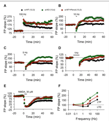 FIGURE 5 | Absence or blockade of Panx1 channels modifies the threshold for inducing excitatory hippocampal synaptic plasticity