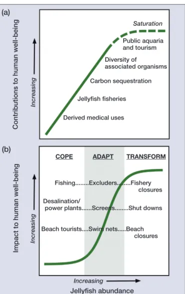Figure 1. (a) Linear scaling relationship between ecosystem services illustrated in the text and jellyfish abundance
