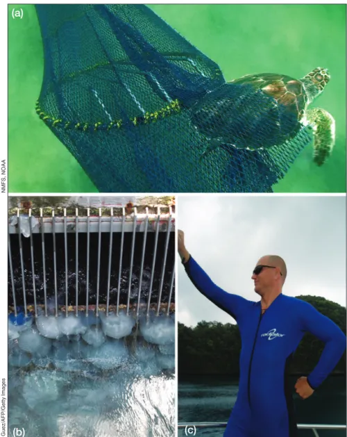 Figure 4. Adapting strategies for jellyfish blooms. (a) Sea turtle excluder devices originally designed by Gulf of Mexico shrimpers as “jelly shooters” for removing jellyfish from trawl nets; (b) barrier screening for removing jellyfish and other debris at
