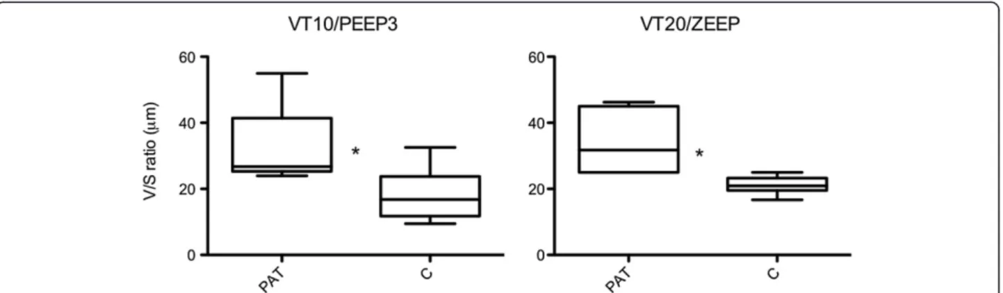 Figure 5 Volume/surface (V/S) ratio. V/S of the two ventilatory groups are exhibited: Group 1: Tidal volume (V T ) = 10 ml/kg and positive end-expiratory pressure (PEEP) = 3 cmH 2 O (V T 10/PEEP3)