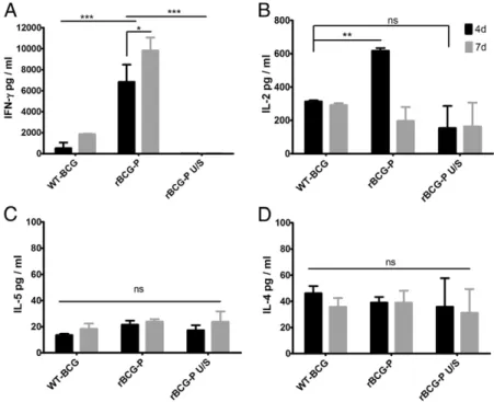 Fig. 8C). In contrast, significant infiltration was observed in the airways of mice receiving T cells from WT-BCG–immunized mice, similar to what was observed in unimmunized mice