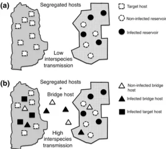 Figure 3. Schematic representation of the ‘‘bridge host’’ concept in a multihost pathogen system