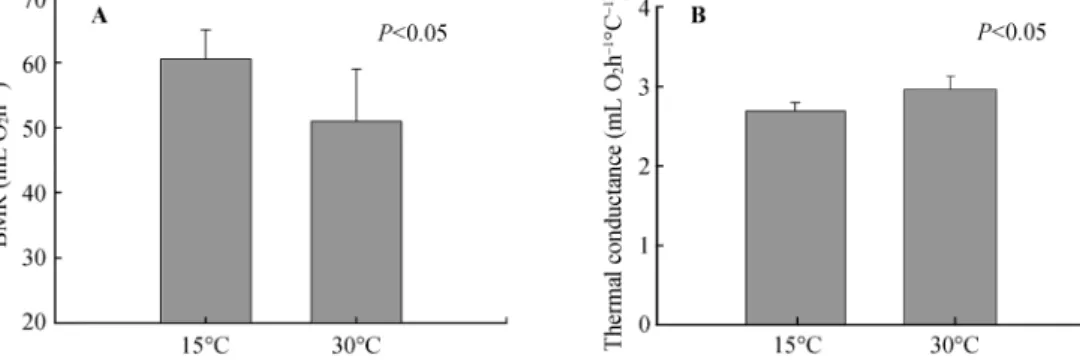 Fig. 1    Basal metabolic rate (A) and thermal conductance (B) in cold- and warm-acclimated individuals of Zonotrichia   capensis