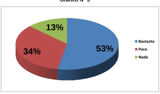 Gráfico N° 5 
