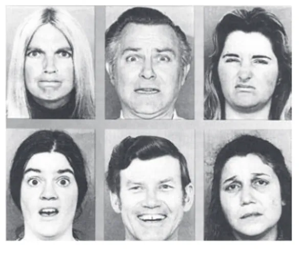Figura A: Expresiones faciales según el  psicólogo Paul Ekman.