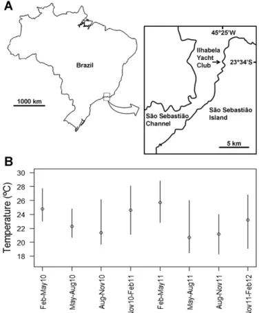 Fig. 1. Study site (A) and monthly mean sea surface temperature (+daily range) during the study (B) in the São Sebastião Channel (Brazil).