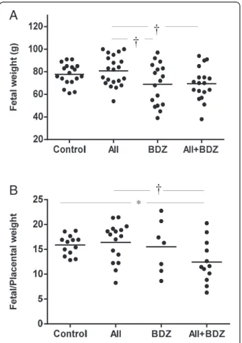 Figure 2 Fetal weight and fetal/placental weight ratios from dams treated with saline, angiotensin II (AII), Bradyzide (BDZ), or AII + BDZ