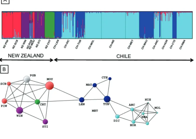 Figure 2. Genetic population structure of New Zealand and Chilean Gracilaria populations