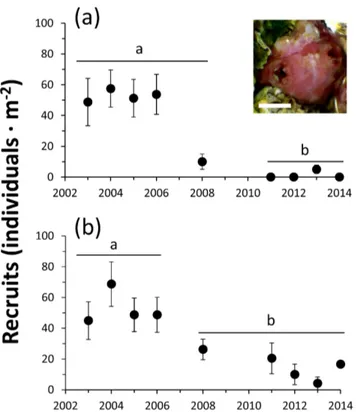 Figure 6. Mean number (±SD) of Pyura -gathers per km recorded over 13 months (1993–1994), in January and February (black circles) and the rest of the year (white circles) (taken and modified from 47).