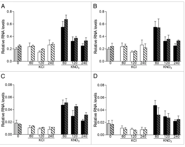 Figure 2. nitrate regulation of AFB3 and NAC4 is not affected in nrt1.2 and nrt2.1/nrt2.2 mutants