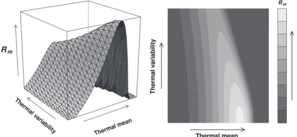 Figure 3. Diagram of the joint effect of thermal mean and variability on R m . On the left side is the 3D graph and on right side is the contour  graph of the response curve corresponding to a simulation using the model by Lactin et al