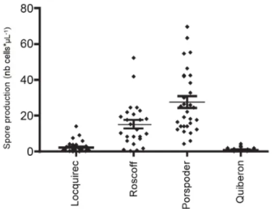 Figure 4. Example flow cytometric analysis of spore ploidy, showing histograms of Sybr Green I fluorescence (DNA content)