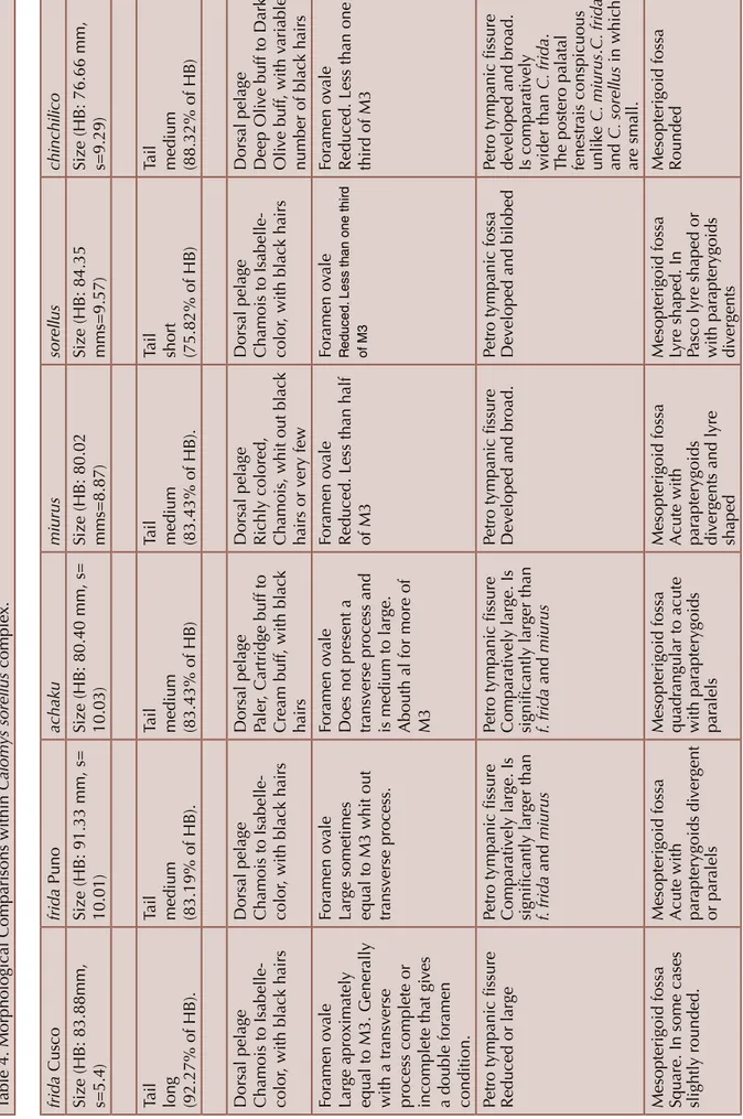 Table 4. Morphological Comparisons within Calomys sorellus complex.