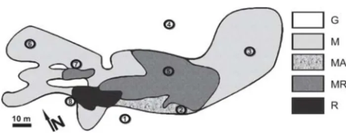 Figure 2. Microhabitats defined in the pond. G = grassy meadow, M =  mud,  MA = mud and Azolla spp., MR = mud and scattered rushes, R =  dense rushes