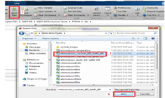 Figura A7.1 Importar datos de Estimulación. 