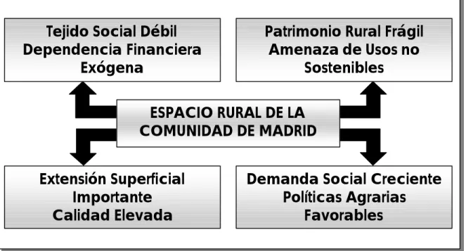 Fig. 2.– Diagnóstico estructural del espacio rural madrileño. 