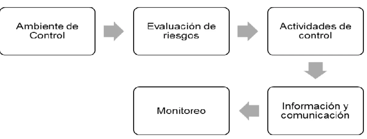 Figura 3. Estructura del modelo coso 