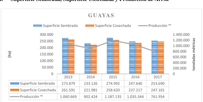 Figura 4Superficie sembrada, Superficie cosechada y Producción de Arroz (2013-2017). Adaptado del INEC