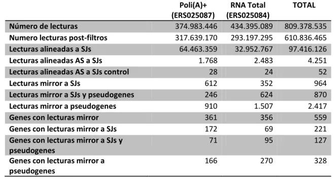 Tabla IV. Búsqueda de mirrorRNAs en datos de RNA-seq de IBM 2.0. 