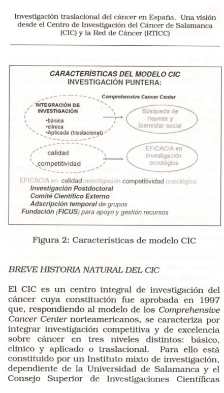 Figura 2: Caracteristicas de modelo CIC