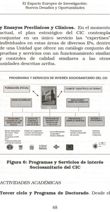 Figura 6: Programas y Servicios de interés Sociosanitario del CIC