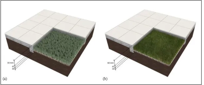 Figure 5: Rain gardens design for Santiago (a) and Temuco (b) using Sedum and grass  respectively