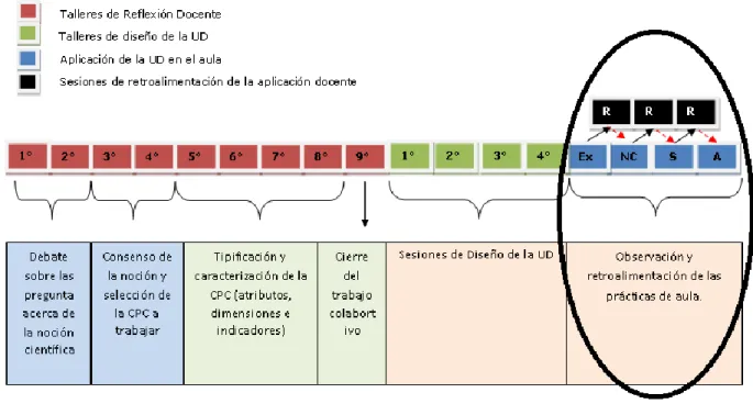 Figura 3.2- Etapa de observación y retroalimentación de las prácticas en aula  durante  implementación de la fase II del proyecto Fondecyt Nº1095149 (en ovalo negro)