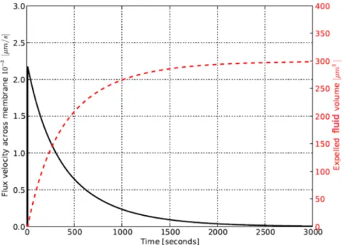 Figure 2.6 shows the evolution in time of the nucleus volume observed from trypsiniza- trypsiniza-tion experiments of cells treated with Nocodazole (Kim et al