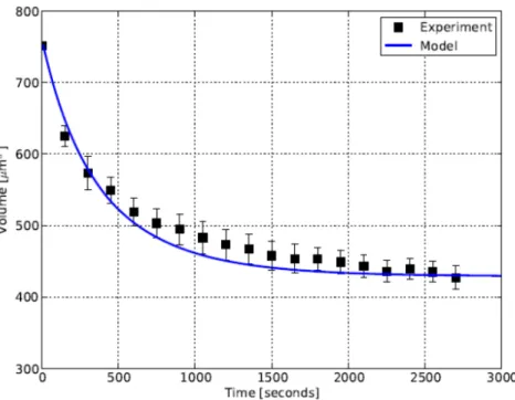 Figure 2.7 shows the evolution of the fluid-phase and solid-phase pressure in the case of trypsinization of cells treated with Nocodazole