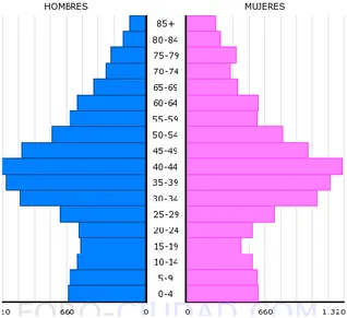 Figura 5. Distribución de la población por sexo y grupos de edad 