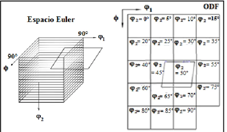 Figura 2-8: El espacio Euler es dividido en capa de intervalo   2  5 º . 