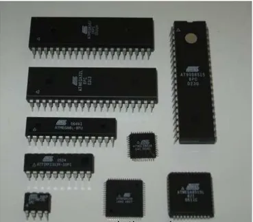 Figura 4: microcontroladores de la actualidad. 