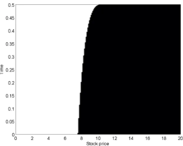 Figure 13: Exercise region (white) for an American put option without counterparty risk (Test 5)