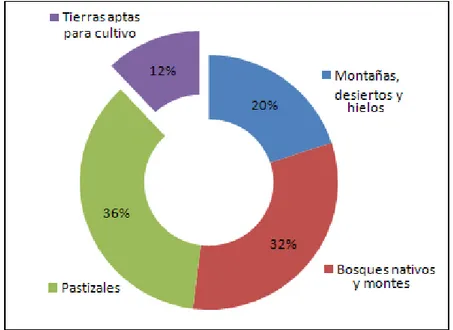 Gráfico 7: Disponibilidad de tierras para cultivo en Argentina  Fuente: Elaboración propia con datos de Chidiak y Stanley, 2009  