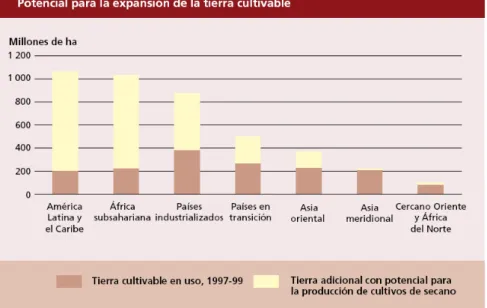 Gráfico 1: Potencial para la expansión de la tierra cultivable  Fuente: FAO, 2008: 69