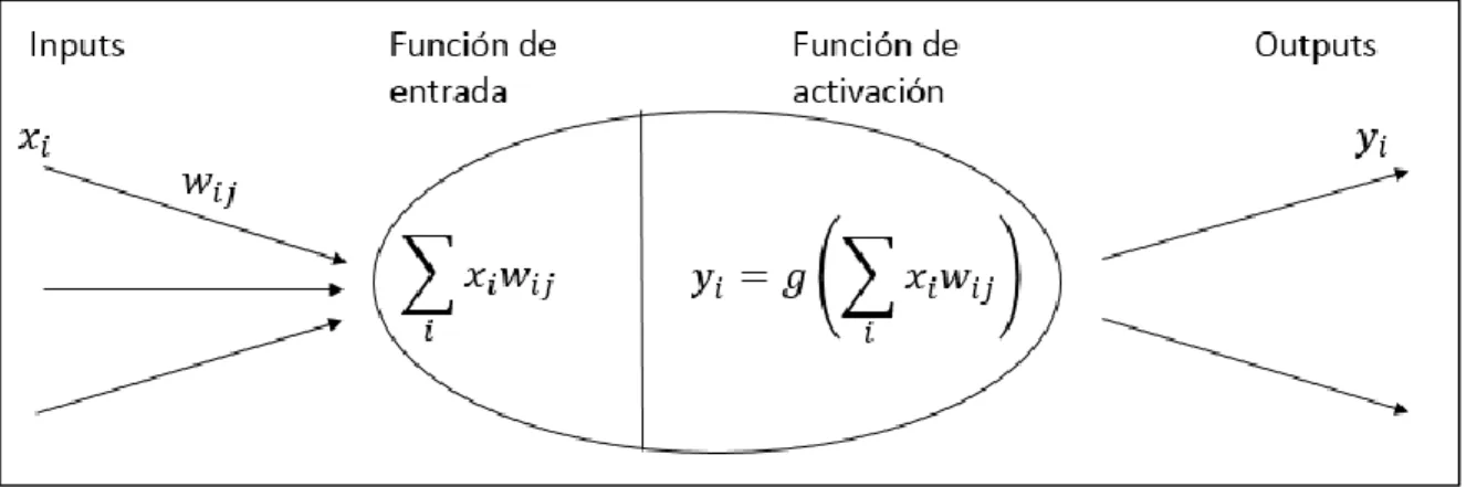 Figura 2-1: Zoom-In a neurona, junto a los cómputos hechos en ella. 