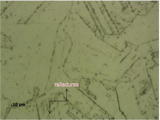 Fig. N°18 Micrografía del acero AISI 304L (1000X) 
