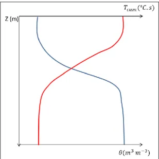 Figura 2-8: Ilustración de la relación entre los perfiles de T cum  y  en un medio poroso  parcialmente saturado
