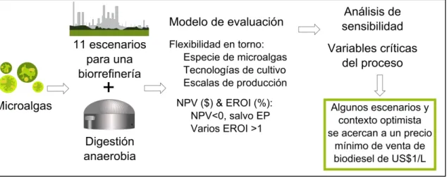 Figura 2-1: Resumen gráfico, presentado a Algal Research, sobre la evaluación de  multiescenarios de una biorrefinería en base a microalgas 