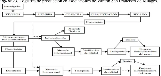Figura 13. Logística de producción en asociaciones del cantón San Francisco de Milagro