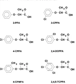 Figure 1. Structures of the phenoxy acid herbicides studied.