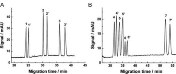 Figure 4. Electropherograms corresponding to the chiral separation of Dns-amino acids 460 