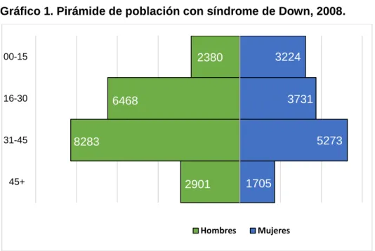 Gráfico 1. Pirámide de población con síndrome de Down, 2008. 