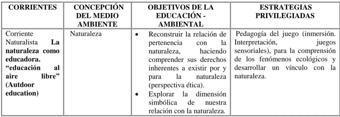 Tabla 1. Síntesis de las corrientes en EA de Sauvé. 