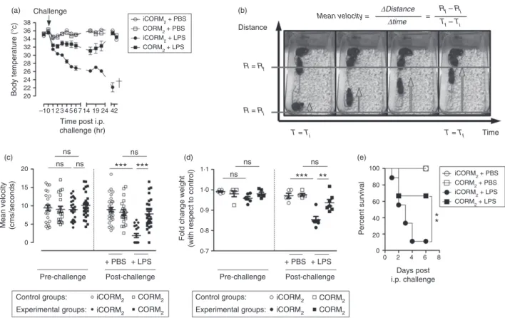 Figure 3. Carbon monoxide (CO) treatment prevents lipopolysaccharide (LPS) -mediated septic shock in mice
